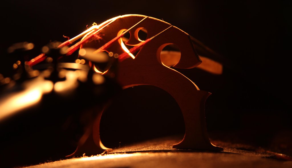 Guillaume Bouillon — Violoncelliste