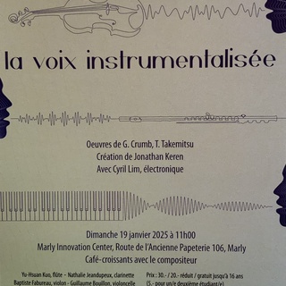 La voix instrumentalisée